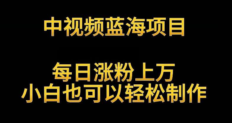 中视频蓝海项目,解读英雄人物生平,每日涨粉上万,小白也可以轻松制作,月入过万不是梦【揭秘】网创吧-网创项目资源站-副业项目-创业项目-搞钱项目网创吧