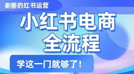 小红书电商全流程，精简易懂，从入门到精通，学这一门就够了网创吧-网创项目资源站-副业项目-创业项目-搞钱项目网创吧