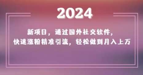 2024新项目,通过国外社交软件,快速涨粉精准引流,轻松做到月入上万【揭秘】网创吧-网创项目资源站-副业项目-创业项目-搞钱项目网创吧