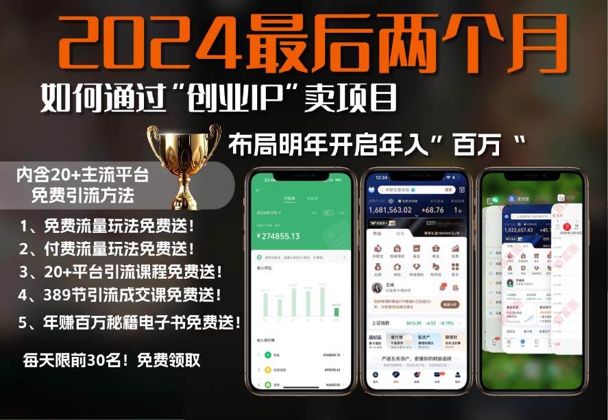 (13322期)2024最后两个月如何通过”创业IP“卖项目年入”百万“,创业IP+最强引流...网创吧-网创项目资源站-副业项目-创业项目-搞钱项目网创吧