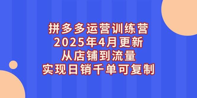 (14469期)拼多多运营训练营2025年4月更新,从店铺到流量,实现日销千单可复制网创吧-网创项目资源站-副业项目-创业项目-搞钱项目网创吧