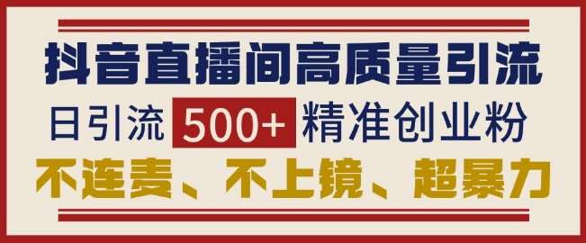 抖音直播间引流创业粉,无需连麦、不用上镜、超暴力,日引流500+高质量精准创业粉网创吧-网创项目资源站-副业项目-创业项目-搞钱项目网创吧