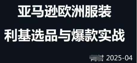 跨境电商选品案例24-25年，聚焦跨境电商选品策略与运营优化，助力卖家挖掘蓝海市场网创吧-网创项目资源站-副业项目-创业项目-搞钱项目网创吧