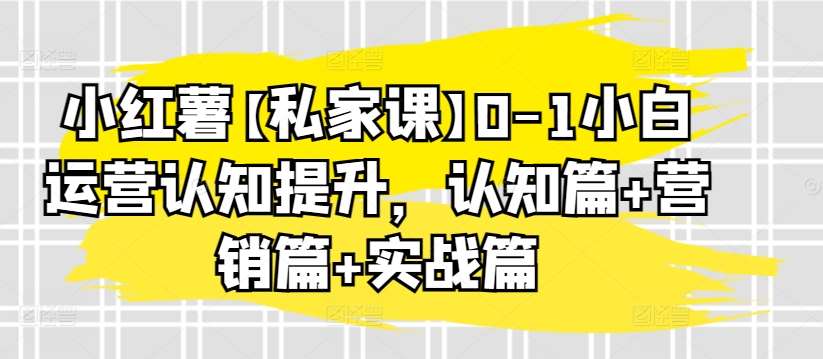 小红薯【私家课】0-1小白运营认知提升,认知篇+营销篇+实战篇网创吧-网创项目资源站-副业项目-创业项目-搞钱项目网创吧
