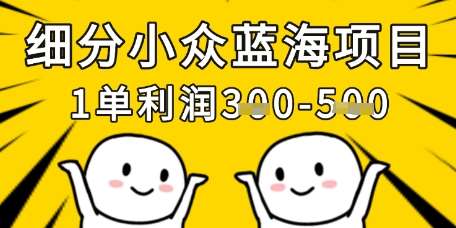 细分小众蓝海项目,一单利润3张,每月收入稳定过1w+网创吧-网创项目资源站-副业项目-创业项目-搞钱项目网创吧
