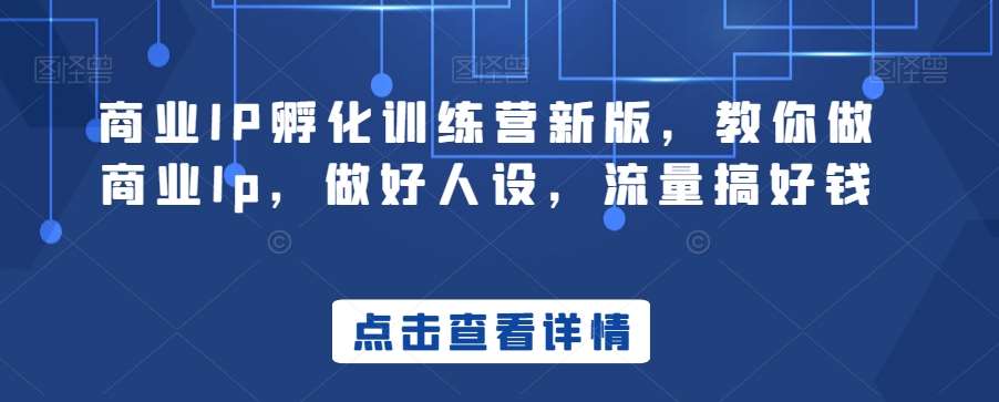 商业IP孵化训练营新版,教你做商业Ip,做好人设,流量搞好钱网创吧-网创项目资源站-副业项目-创业项目-搞钱项目网创吧