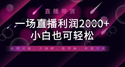 半无人直播带货，一场利润数张，适合所有平台玩法，小白也可轻松网创吧-网创项目资源站-副业项目-创业项目-搞钱项目网创吧