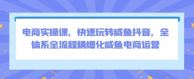 电商实操课,快速玩转咸鱼抖音,全体系全流程精细化咸鱼电商运营网创吧-网创项目资源站-副业项目-创业项目-搞钱项目网创吧