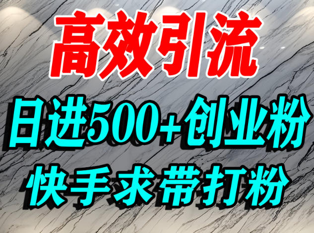 怎么打创业粉?快手求带视角精准引流创业粉,宝妈、学生群体日进500+精准流量网创吧-网创项目资源站-副业项目-创业项目-搞钱项目网创吧