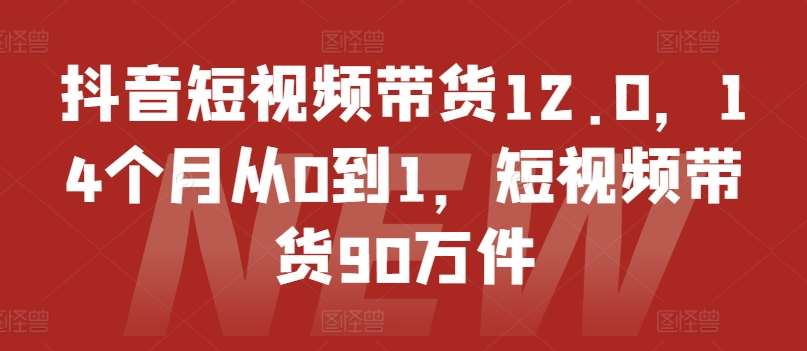 抖音短视频带货12.0,14个月从0到1,短视频带货90万件网创吧-网创项目资源站-副业项目-创业项目-搞钱项目网创吧