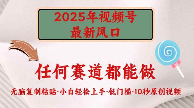 (14453期)2025年视频号新风口,低门槛只需要无脑执行网创吧-网创项目资源站-副业项目-创业项目-搞钱项目网创吧