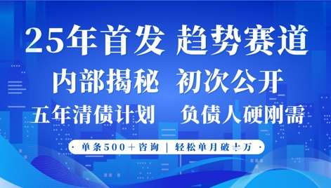 2025年首次公开，真正的事业型赛道，客咨不断，单月轻松破W网创吧-网创项目资源站-副业项目-创业项目-搞钱项目网创吧