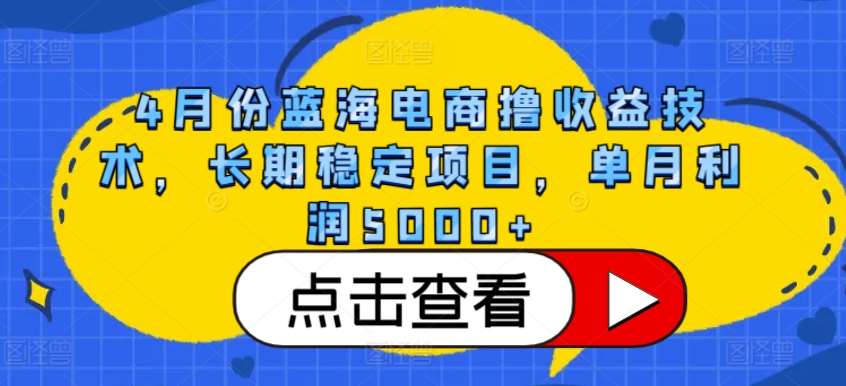4月份蓝海电商撸收益技术,长期稳定项目,单月利润5000+【揭秘】网创吧-网创项目资源站-副业项目-创业项目-搞钱项目网创吧