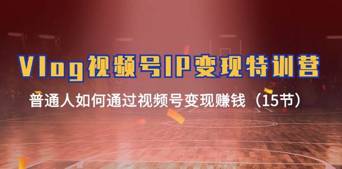 (11654期)Vlog 视频号IP变现特训营,普通人如何通过视频号变现赚钱(15节)网创吧-网创项目资源站-副业项目-创业项目-搞钱项目网创吧
