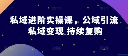 私域进阶实操课，公域引流 私域变现 持续复购网创吧-网创项目资源站-副业项目-创业项目-搞钱项目网创吧