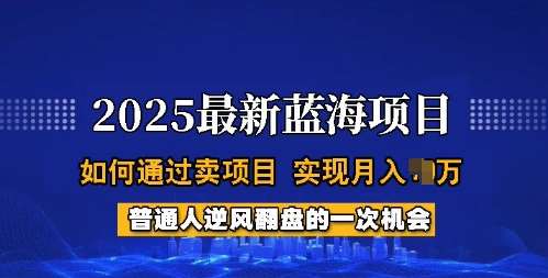 2025蓝海项目,普通人如何通过卖项目,实现月入过W,全过程【揭秘】网创吧-网创项目资源站-副业项目-创业项目-搞钱项目网创吧