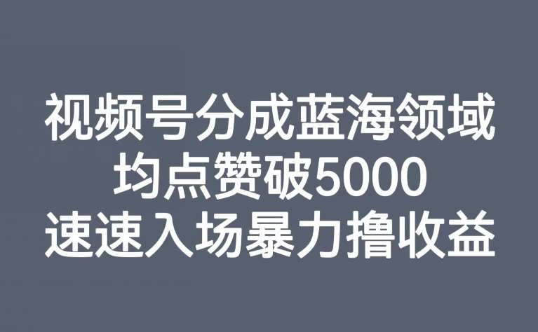 视频号分成蓝海领域,均点赞破5000,速速入场暴力撸收益网创吧-网创项目资源站-副业项目-创业项目-搞钱项目网创吧