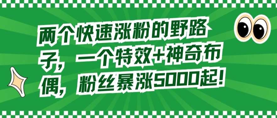 两个快速涨粉的野路子,一个特效+神奇布偶,粉丝暴涨5000起【揭秘】网创吧-网创项目资源站-副业项目-创业项目-搞钱项目网创吧