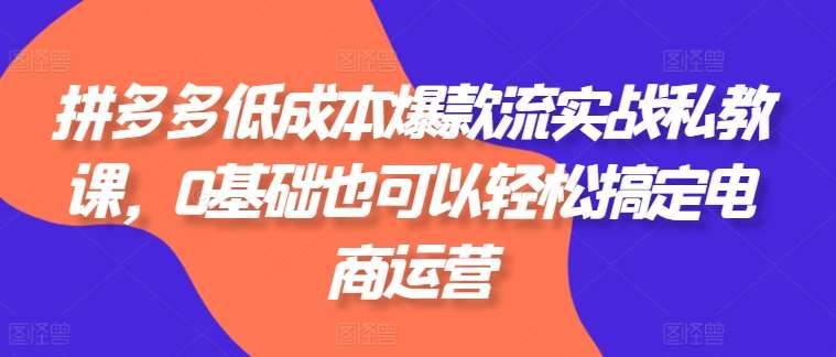 拼多多低成本爆款流实战私教课,0基础也可以轻松搞定电商运营网创吧-网创项目资源站-副业项目-创业项目-搞钱项目网创吧