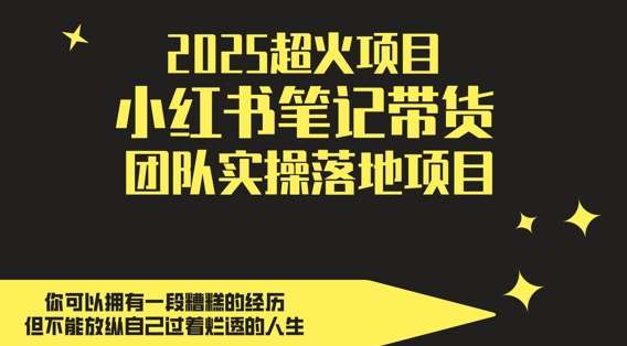 2025超火项目,副业最佳选择,小红书笔记带货团队实操落地项目,,轻松日入5张网创吧-网创项目资源站-副业项目-创业项目-搞钱项目网创吧