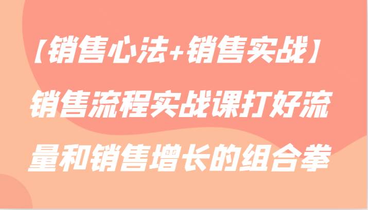 【销售心法+销售实战】销售流程实战课打好流量和销售增长的组合拳网创吧-网创项目资源站-副业项目-创业项目-搞钱项目网创吧