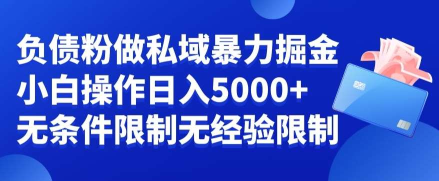 负债粉私域暴力掘金,小白操作入5000,无经验限制,无条件限制【揭秘】网创吧-网创项目资源站-副业项目-创业项目-搞钱项目网创吧