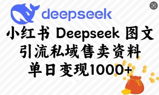 小红书Deepseek图文引流私域售卖资料,单日变现多张网创吧-网创项目资源站-副业项目-创业项目-搞钱项目网创吧