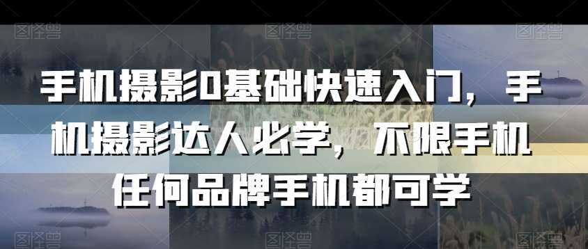 手机摄影0基础快速入门,手机摄影达人必学,不限手机任何品牌手机都可学网创吧-网创项目资源站-副业项目-创业项目-搞钱项目网创吧