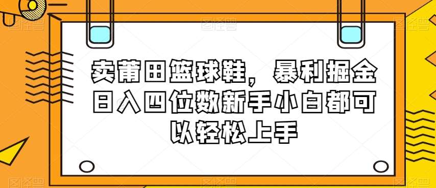 卖莆田篮球鞋,暴利掘金日入四位数新手小白都可以轻松上手【揭秘】网创吧-网创项目资源站-副业项目-创业项目-搞钱项目网创吧