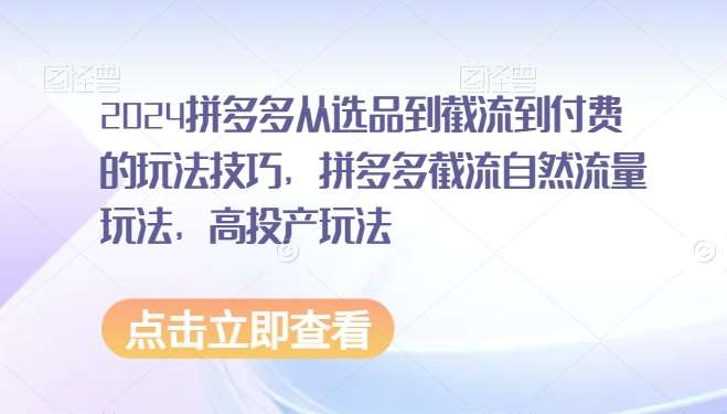 2024拼多多从选品到截流到付费的玩法技巧,拼多多截流自然流量玩法,高投产玩法网创吧-网创项目资源站-副业项目-创业项目-搞钱项目网创吧