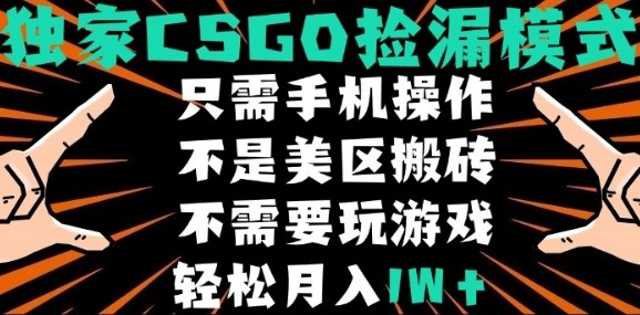 CSGO自动捡漏项目,最新独家玩法,不是美区搬砖,不需要了解和玩游戏,新手小白轻松月入1W+【揭秘】网创吧-网创项目资源站-副业项目-创业项目-搞钱项目网创吧