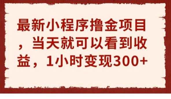 最新小程序撸金项目,当天就可以看到收益,1小时变现300+【揭秘】网创吧-网创项目资源站-副业项目-创业项目-搞钱项目网创吧