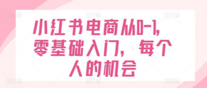 小红书电商从0-1,零基础入门,每个人的机会网创吧-网创项目资源站-副业项目-创业项目-搞钱项目网创吧