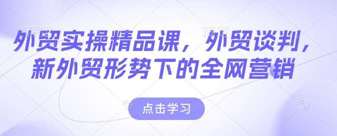 外贸实操精品课,外贸谈判,新外贸形势下的全网营销网创吧-网创项目资源站-副业项目-创业项目-搞钱项目网创吧