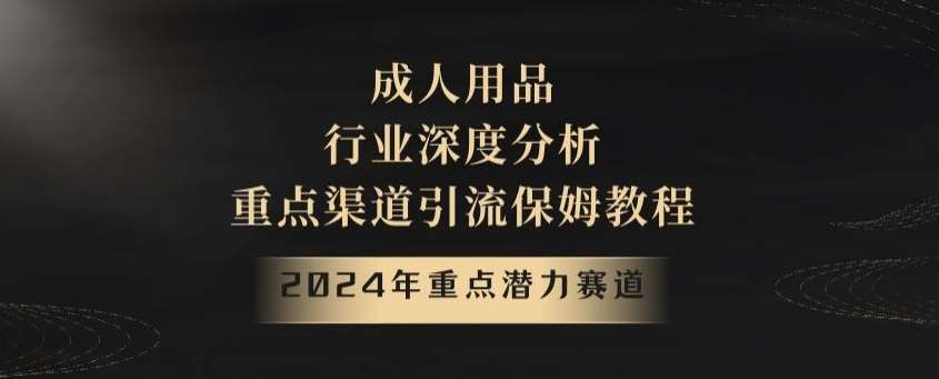 2024年重点潜力赛道,成人用品行业深度分析,重点渠道引流保姆教程【揭秘】网创吧-网创项目资源站-副业项目-创业项目-搞钱项目网创吧