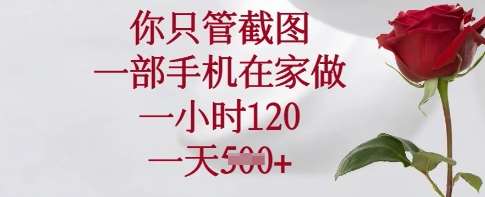 你只管截图,一部手机在家做,一小时120.一天5张【揭秘】网创吧-网创项目资源站-副业项目-创业项目-搞钱项目网创吧