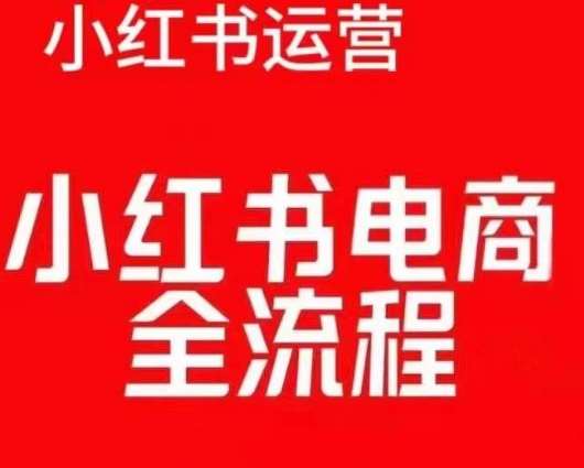 红薯电商实操课,小红书电商全流程网创吧-网创项目资源站-副业项目-创业项目-搞钱项目网创吧