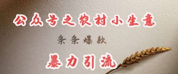 deepseek写农村小项目,条条爆款,暴力引流网创吧-网创项目资源站-副业项目-创业项目-搞钱项目网创吧