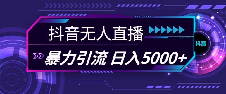 抖音快手视频号全平台通用无人直播引流法,利用图片模板和语音话术,暴力日引流100+创业粉【揭秘】网创吧-网创项目资源站-副业项目-创业项目-搞钱项目网创吧