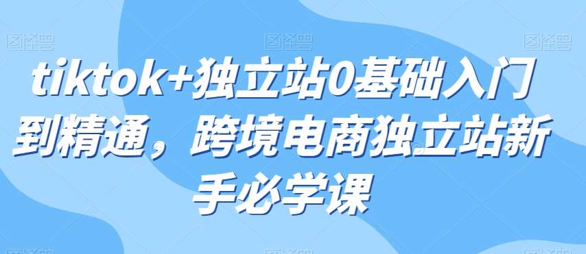 tiktok+独立站0基础入门到精通,跨境电商独立站新手必学课网创吧-网创项目资源站-副业项目-创业项目-搞钱项目网创吧