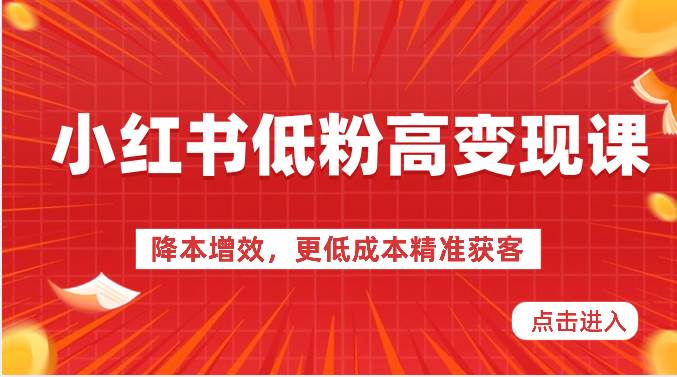 小红书低粉高变现课-降本增效,更低成本精准获客,小红书必爆的流量密码网创吧-网创项目资源站-副业项目-创业项目-搞钱项目网创吧