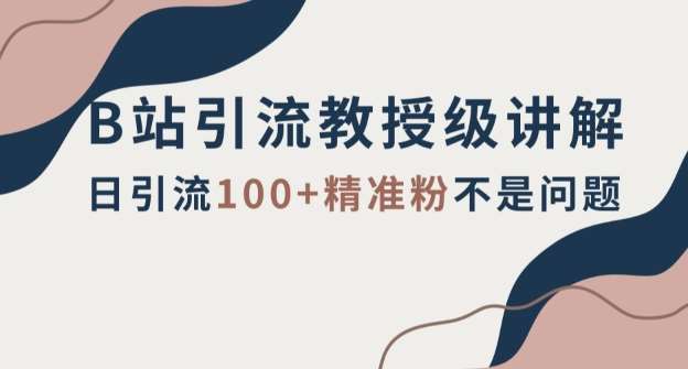 B站引流教授级讲解,细节满满,日引流100+精准粉不是问题【揭秘】网创吧-网创项目资源站-副业项目-创业项目-搞钱项目网创吧