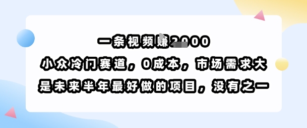 一条视频挣1k，小众冷门赛道，0成本，市场需求大，是未来半年最好做的项目，没有之一网创吧-网创项目资源站-副业项目-创业项目-搞钱项目网创吧
