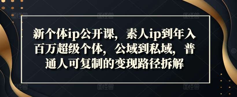 新个体ip公开课,素人ip到年入百万超级个体,公域到私域,普通人可复制的变现路径拆解网创吧-网创项目资源站-副业项目-创业项目-搞钱项目网创吧