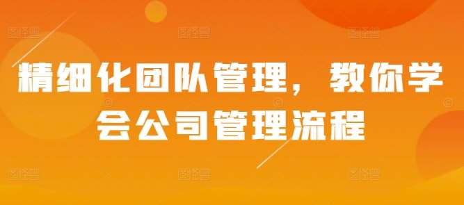 精细化团队管理,教你学会公司管理流程网创吧-网创项目资源站-副业项目-创业项目-搞钱项目网创吧