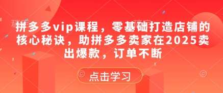 拼多多vip课程,零基础打造店铺的核心秘诀,助拼多多卖家在2025卖出爆款,订单不断网创吧-网创项目资源站-副业项目-创业项目-搞钱项目网创吧