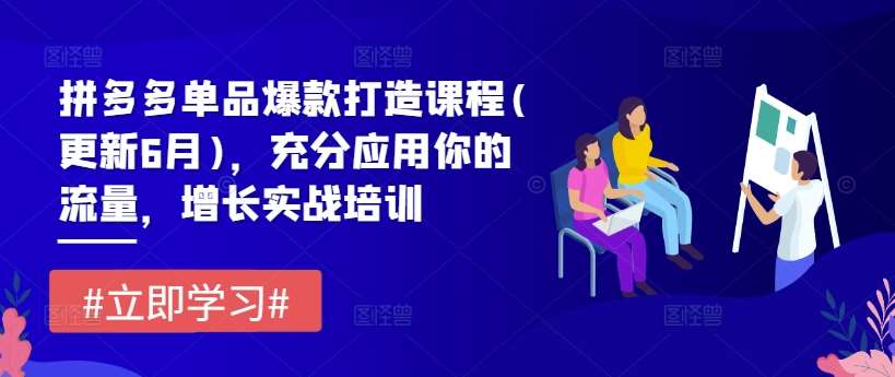 拼多多单品爆款打造课程(更新6月),充分应用你的流量,增长实战培训网创吧-网创项目资源站-副业项目-创业项目-搞钱项目网创吧