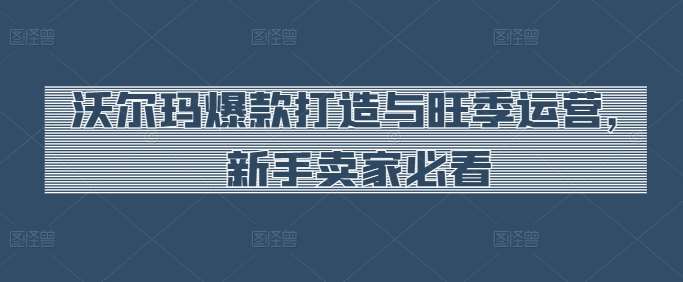 沃尔玛爆款打造与旺季运营,新手卖家必看网创吧-网创项目资源站-副业项目-创业项目-搞钱项目网创吧