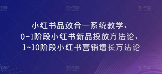 小红书品效合一系统教学,0~1阶段小红书新品投放方法论,1~10阶段小红书营销增长方法论网创吧-网创项目资源站-副业项目-创业项目-搞钱项目网创吧