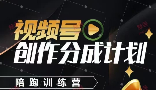 视频号创作分成计划陪跑训练营，手把手教会你如何制作视频，细水长流型项目网创吧-网创项目资源站-副业项目-创业项目-搞钱项目网创吧